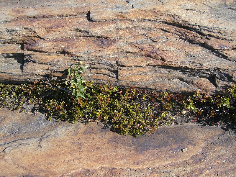 Nordkap 2009 474.jpg